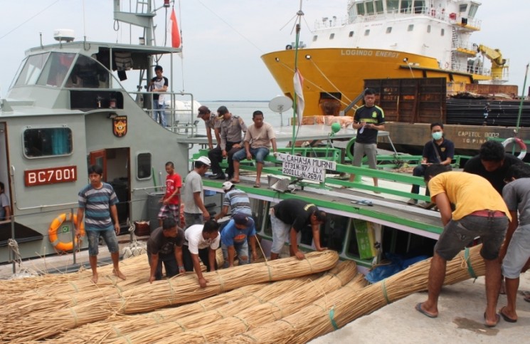 Diduga Menuju Malaysia, Kapal Muatan Berisi Rotan Diamankan Bea dan Cukai