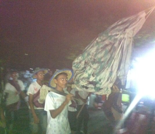 Karnaval Kemerdekaan, Peserta Tampilkan Kreativitas Tanpa Batas