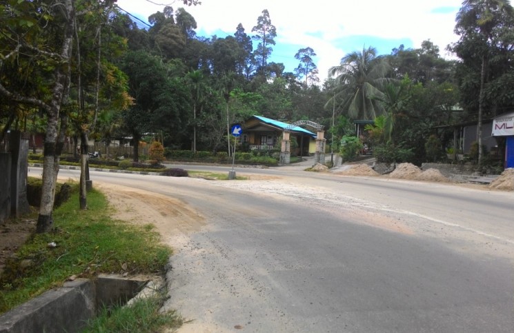 Taman Pembatas Jalan Membawa Maut