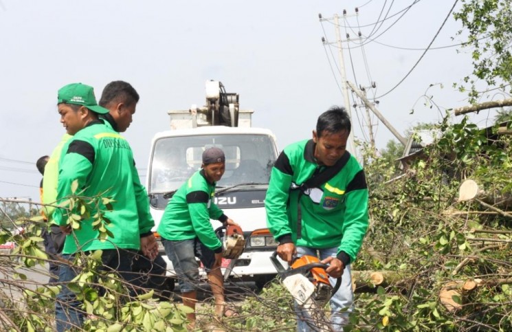 Evakuasi Pohon Tumbang di Jalan Sungai Sesayap