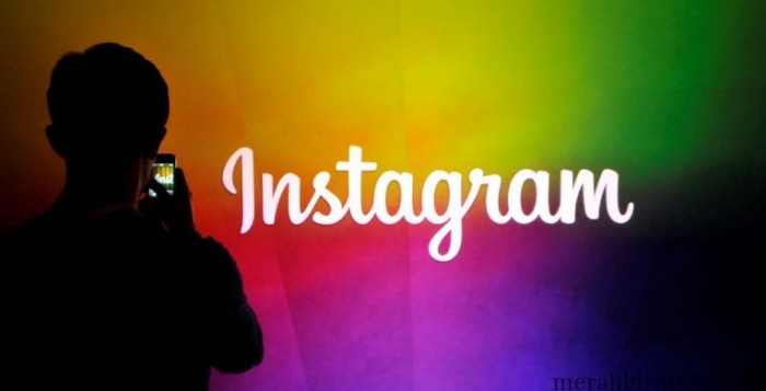 Pengguna Instagram Kini Lebih Banyak Dari Twitter Instagram