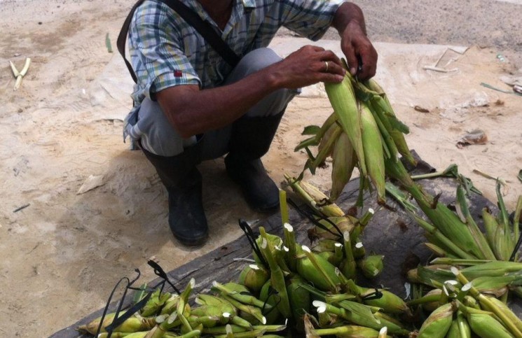 Malam Tahun Baru, Penjual Jagung Diserbu Pembeli