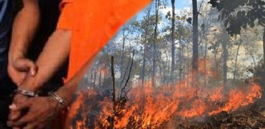 1PELAKU_KEBAKARAN_HUTAN