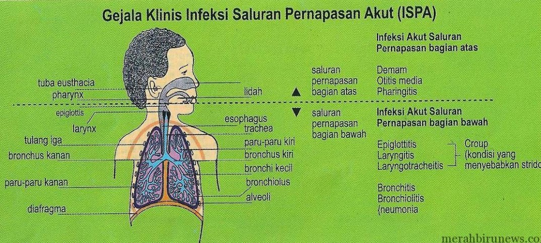 ISPA