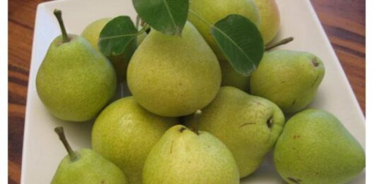 Segarnya buah pir mampu turunkan berat badan
