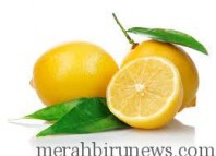 Air Lemon bisa turunkan berat badan?