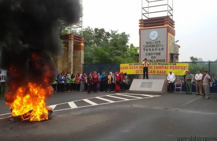 Ada Peserta Pilgub Kaltara Hadir Di Demo Dosen Non-PNS, Ada Apa?