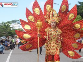 Unik dan Kreatif, Inilah Kostum Karnaval Iraw Tengkayu 2015
