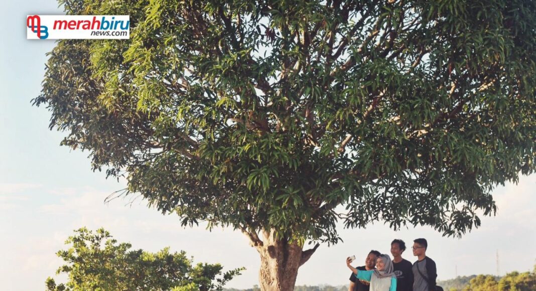 Selfie di Pohon Satu, Trend Kekinian Kawula Muda Tarakan