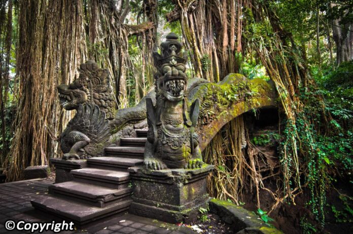 Wisata Monkey Forest Bali
